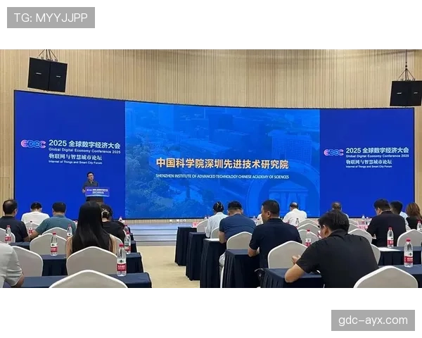 佩佩引领数字经济转型,技术创新驱动效率与创新双提升 佩佩引领数字经济转型,技术创新驱动效率与创新双提升