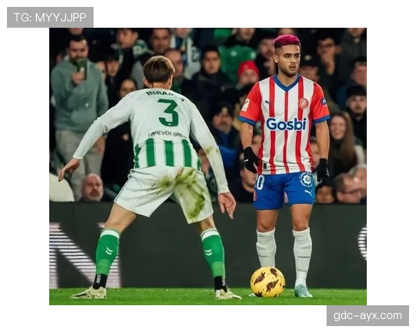 伊斯科战术适配性